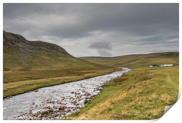 Cronkley Scar and Widdybank Farm Print by Richard Laidler