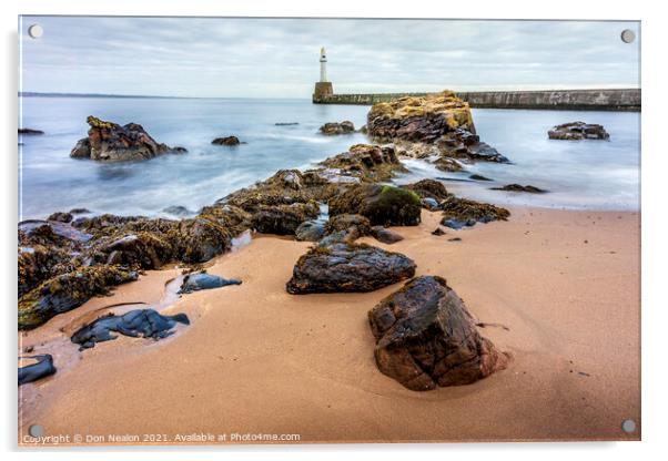 Majestic Rocky Beach Acrylic by Don Nealon