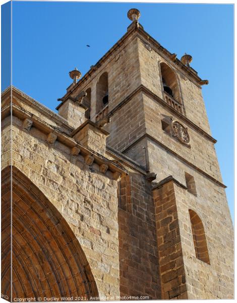 The Holy Tower of Caceres Canvas Print by Dudley Wood