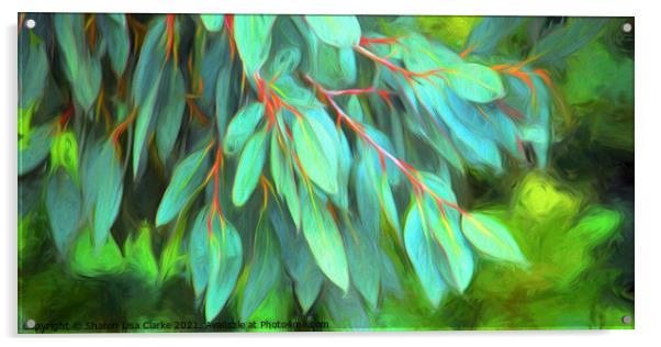 Eucalyptus  Acrylic by Sharon Lisa Clarke