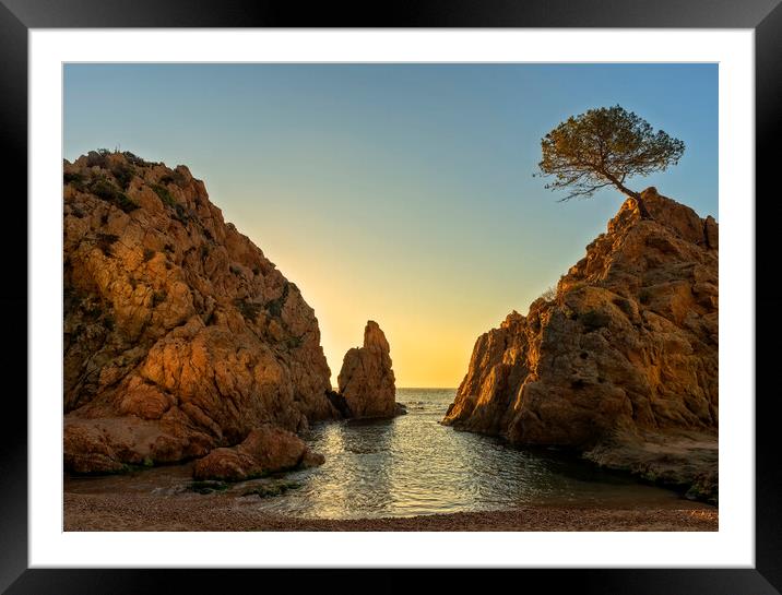 The small sea of Tossa in a calm sunrise without clouds Framed Mounted Print by Vicen Photo