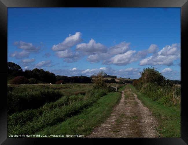 The Country Walk Framed Print by Mark Ward