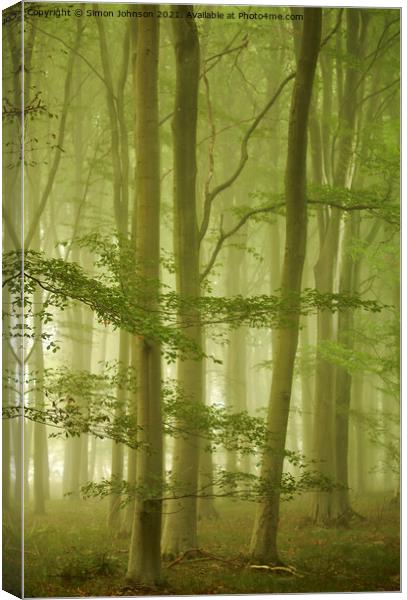Misty morning in Beech woodland Canvas Print by Simon Johnson