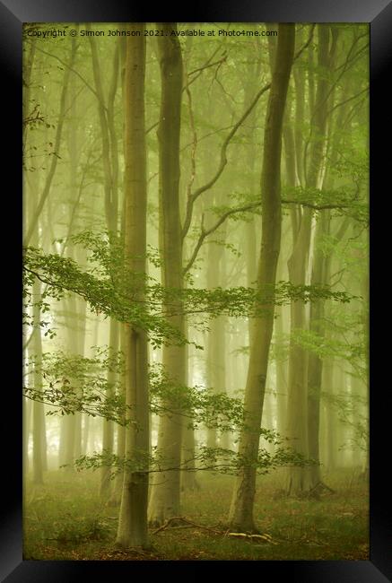 Misty morning in Beech woodland Framed Print by Simon Johnson