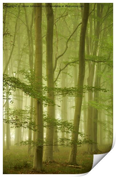 Misty morning in Beech woodland Print by Simon Johnson