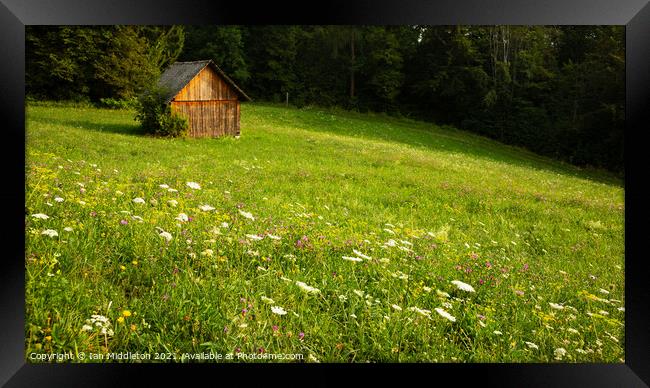 Summer meadow near Lake Bled Framed Print by Ian Middleton