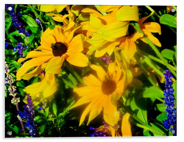 Windblown yellow daisies Acrylic by Stephanie Moore
