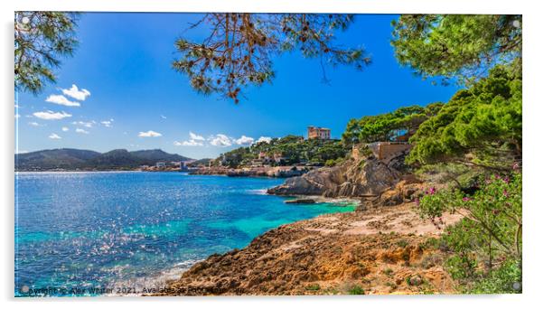 Cala Ratjada on Majorca island Spain Acrylic by Alex Winter