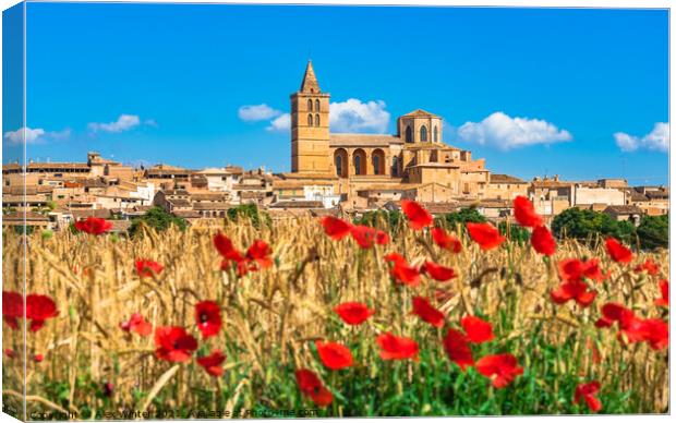 Sineu village Mallorca. Red Poppy Field Canvas Print by Alex Winter