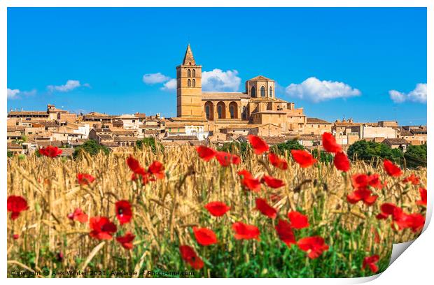 Sineu village Mallorca. Red Poppy Field Print by Alex Winter
