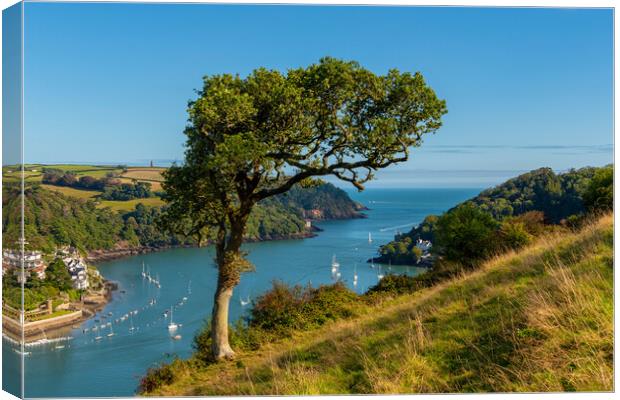 The Mouth of the River Dart Canvas Print by Paul F Prestidge