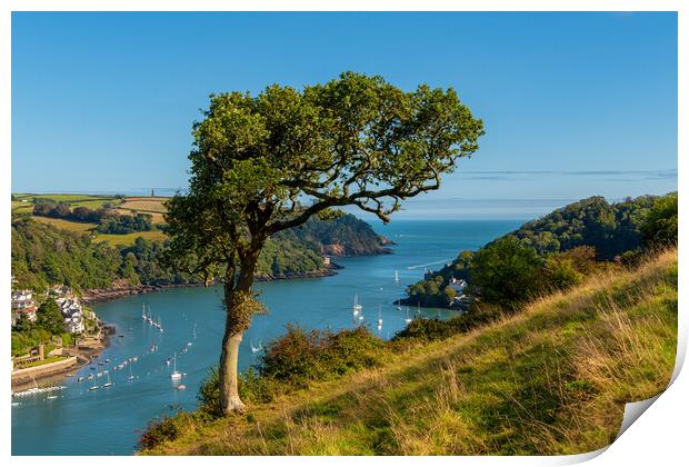 The Mouth of the River Dart Print by Paul F Prestidge
