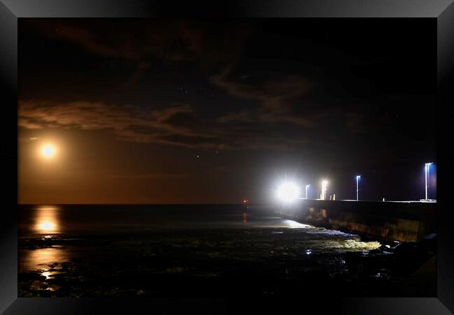 Seahouses Harbour  Framed Print by simon cowan