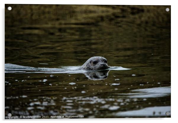 Seal at Seafield, Kirkcaldy Acrylic by liz christensen