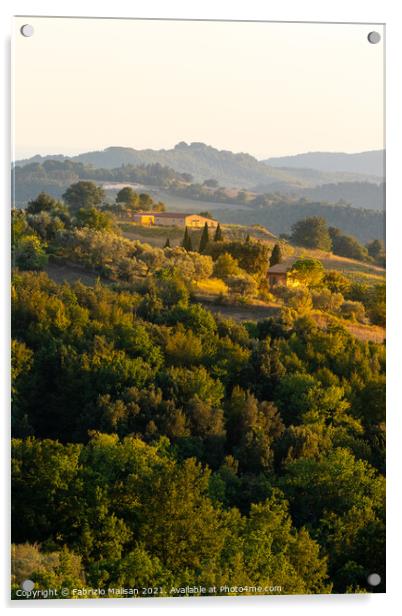 Landscape of Tuscany Italy Acrylic by Fabrizio Malisan
