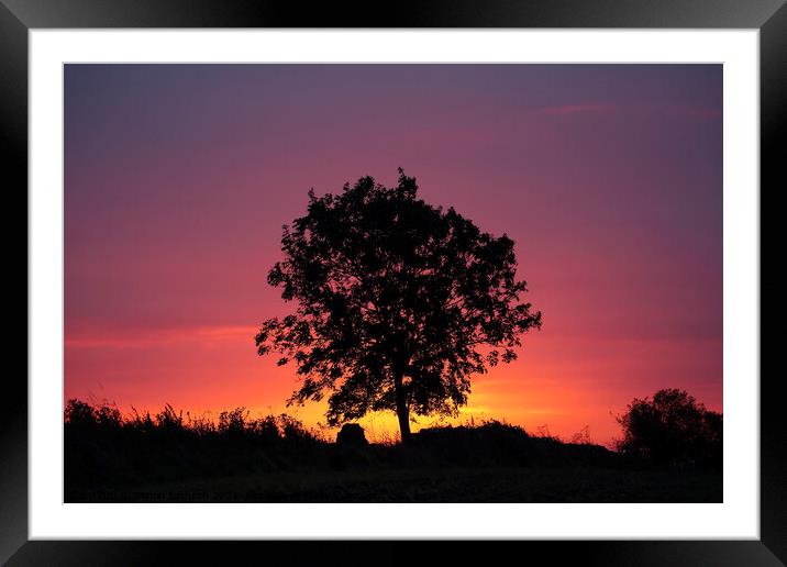 A tree silhouette with sunrise Framed Mounted Print by Simon Johnson
