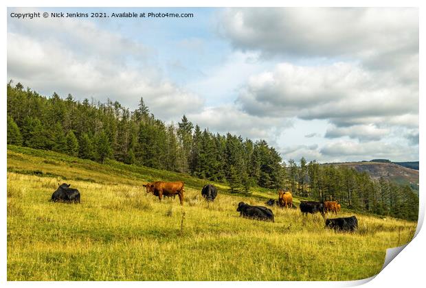 Cows grazing above Cwmparc Rhondda Valley  Print by Nick Jenkins