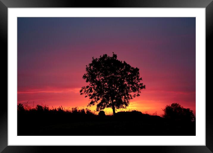 sunrise tree Framed Mounted Print by Simon Johnson