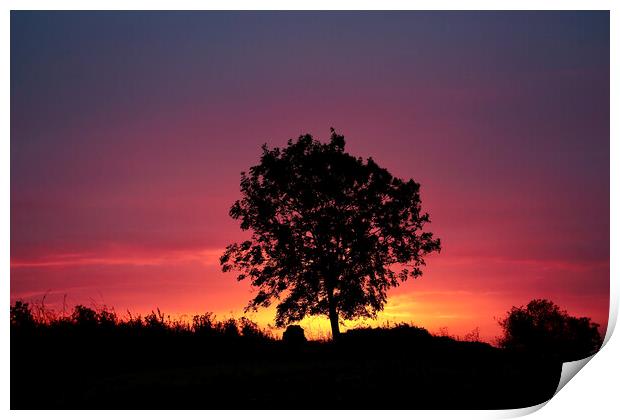 sunrise tree Print by Simon Johnson