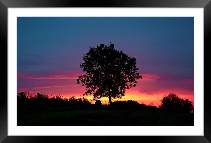 tree silhouette  Framed Mounted Print by Simon Johnson