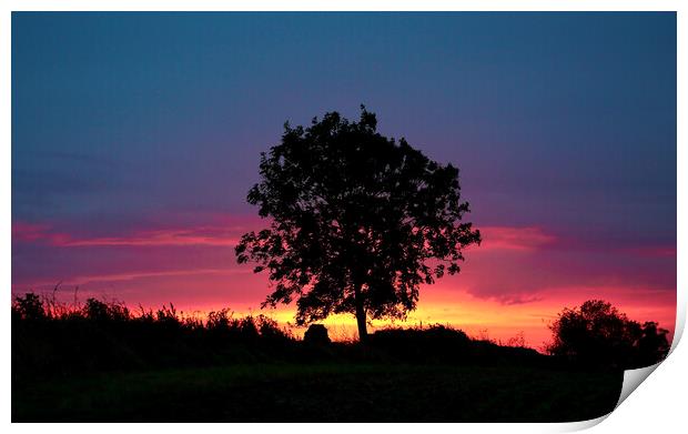 tree silhouette  Print by Simon Johnson