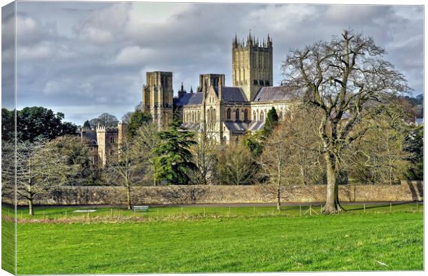 Wells Cathedral Somerset Canvas Print by austin APPLEBY
