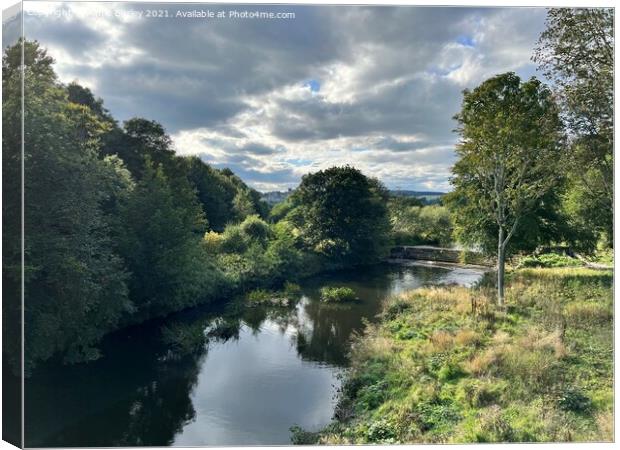 River Aln, Northumberland Canvas Print by Aimie Burley
