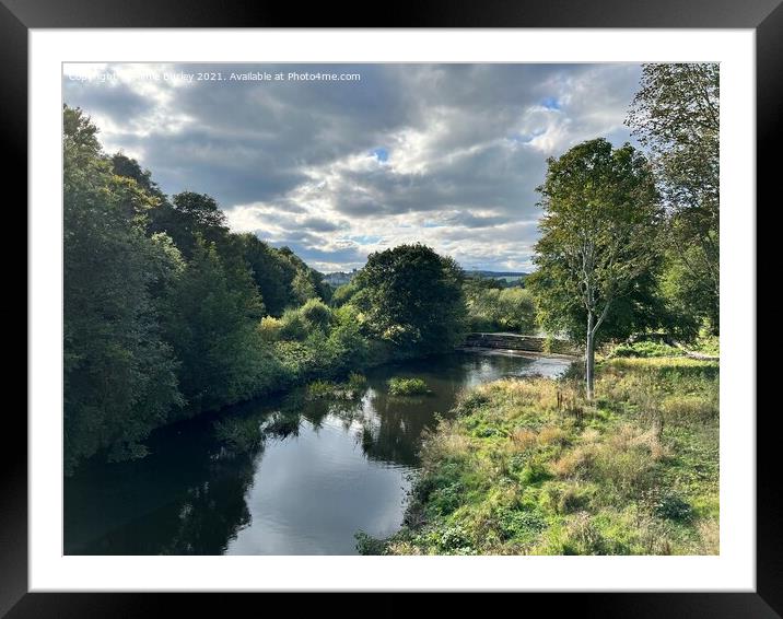 River Aln, Northumberland Framed Mounted Print by Aimie Burley