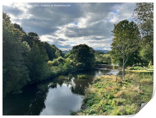 River Aln, Northumberland Print by Aimie Burley