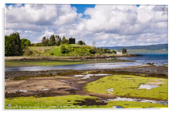 Aros Castle Isle of Mull Scotland Acrylic by Pearl Bucknall