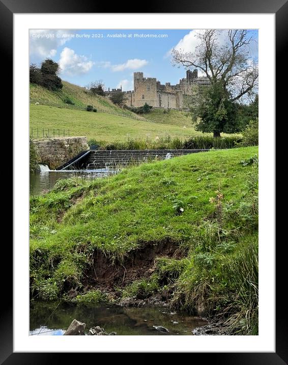 Alnwick, Northumberland Framed Mounted Print by Aimie Burley