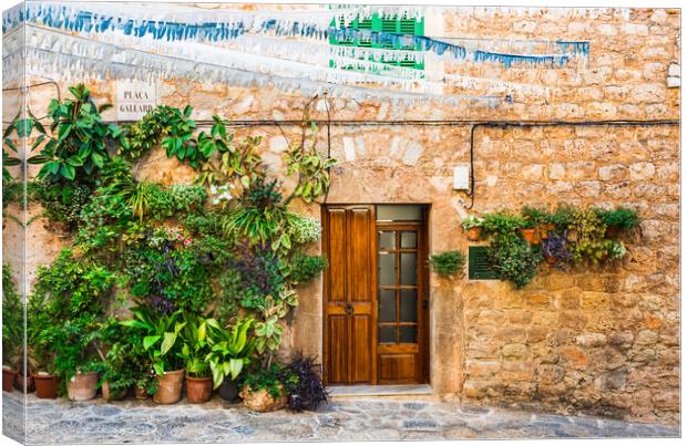 Potted plant, Rustic Charm in Valldemossa Canvas Print by Alex Winter