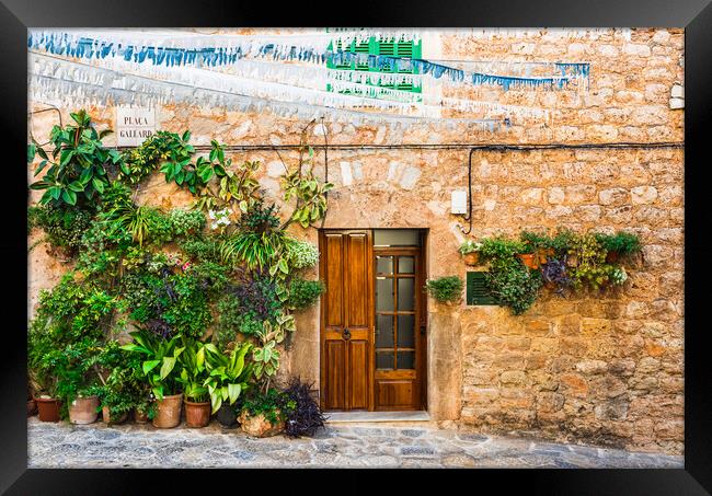 Potted plant, Rustic Charm in Valldemossa Framed Print by Alex Winter