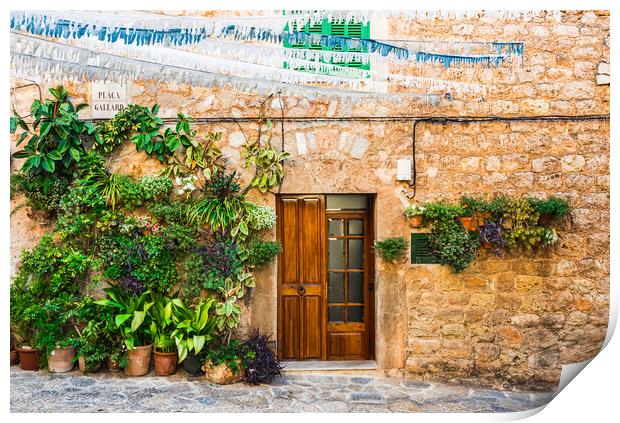 Potted plant, Rustic Charm in Valldemossa Print by Alex Winter