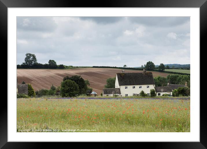 Poppies and Lavender in the Cotswold Framed Mounted Print by Keith Bowser