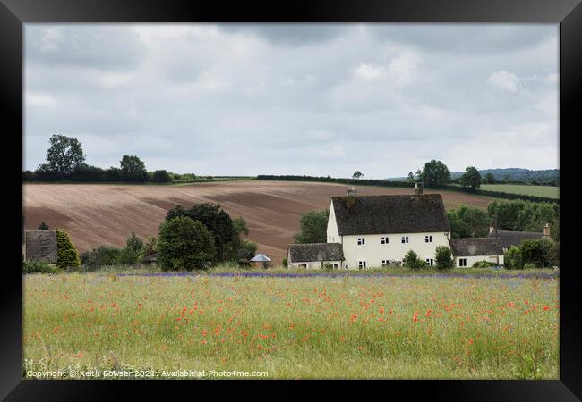 Poppies and Lavender in the Cotswold Framed Print by Keith Bowser