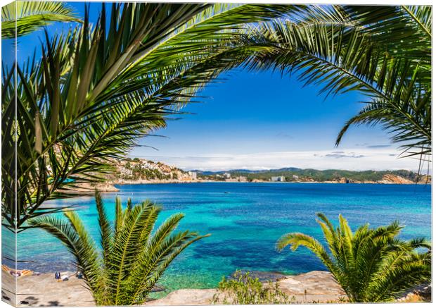 Cala Fornells bay beach Mallorca Canvas Print by Alex Winter