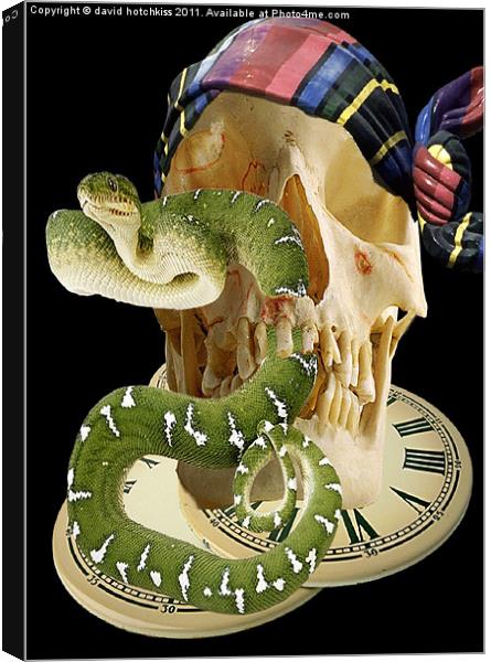 TIME TO SNAKE OUT Canvas Print by david hotchkiss