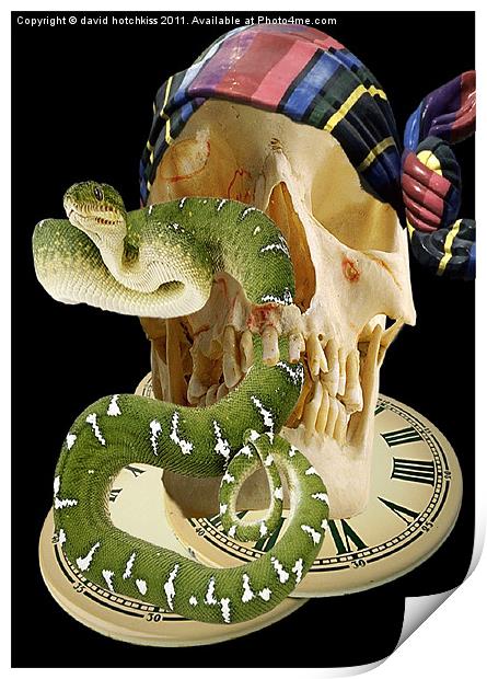 TIME TO SNAKE OUT Print by david hotchkiss