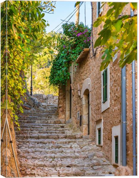 Fornalutx on Majorca Canvas Print by Alex Winter