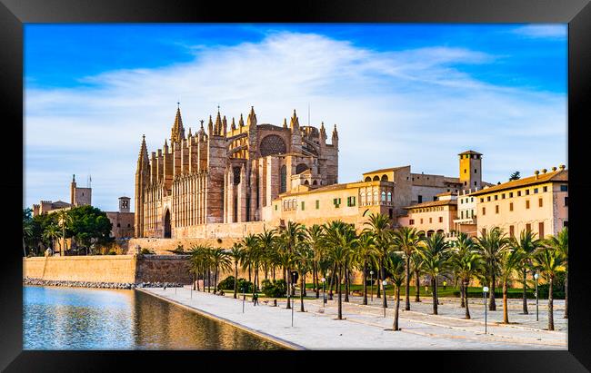 Cathedral of Palma de Mallorca Framed Print by Alex Winter