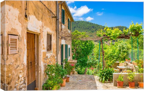 Rustic mediterranean houses with beautiful front yard and potted flowers Canvas Print by Alex Winter