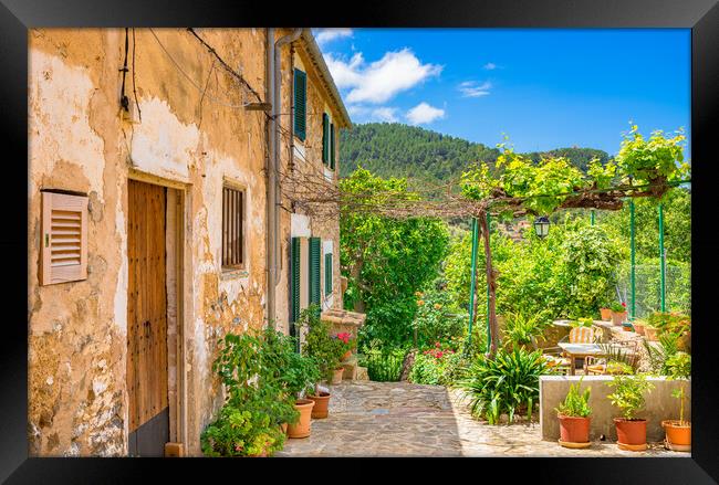 Rustic mediterranean houses with beautiful front yard and potted flowers Framed Print by Alex Winter