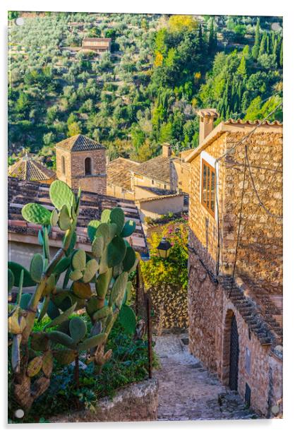 Old village of Fornalutx on Majorca Acrylic by Alex Winter