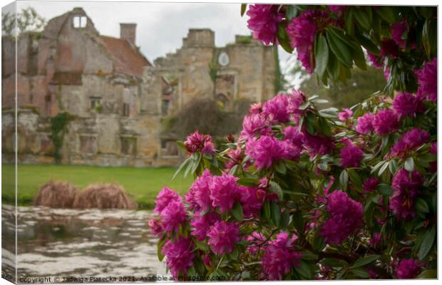Flowers at Scotney Castle  Canvas Print by Jadwiga Piasecka