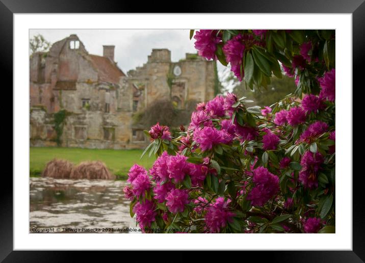 Flowers at Scotney Castle  Framed Mounted Print by Jadwiga Piasecka