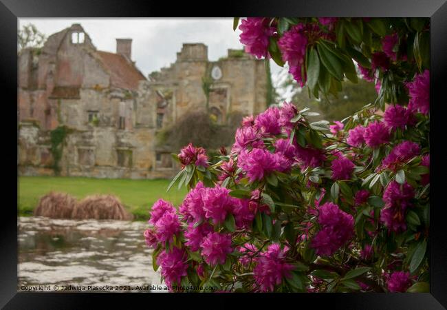 Flowers at Scotney Castle  Framed Print by Jadwiga Piasecka