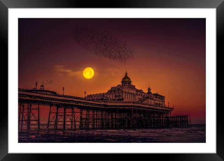 Starlings flying over Eastbourne Pier Framed Mounted Print by Jadwiga Piasecka
