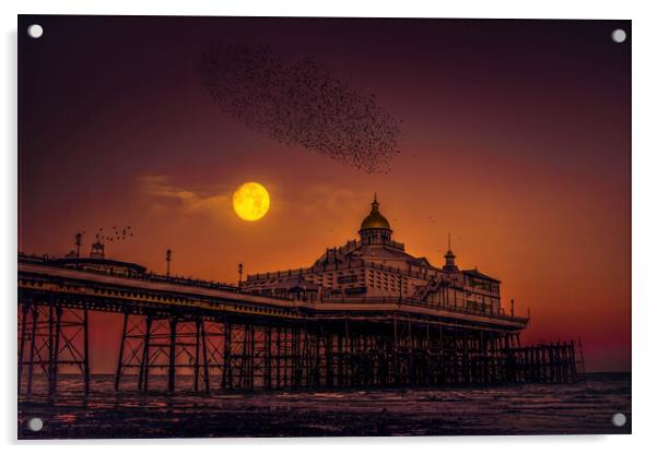 Starlings flying over Eastbourne Pier Acrylic by Jadwiga Piasecka
