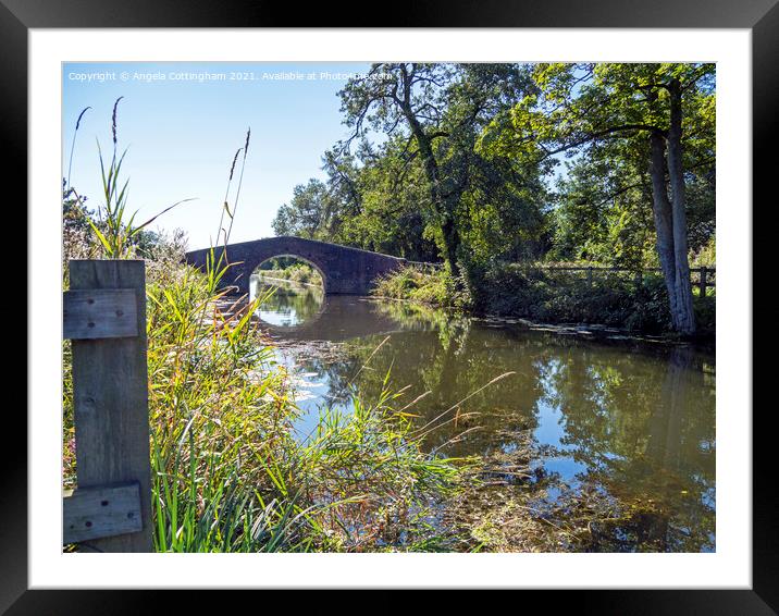 Rentons Bridge over the Ripon Canal Framed Mounted Print by Angela Cottingham